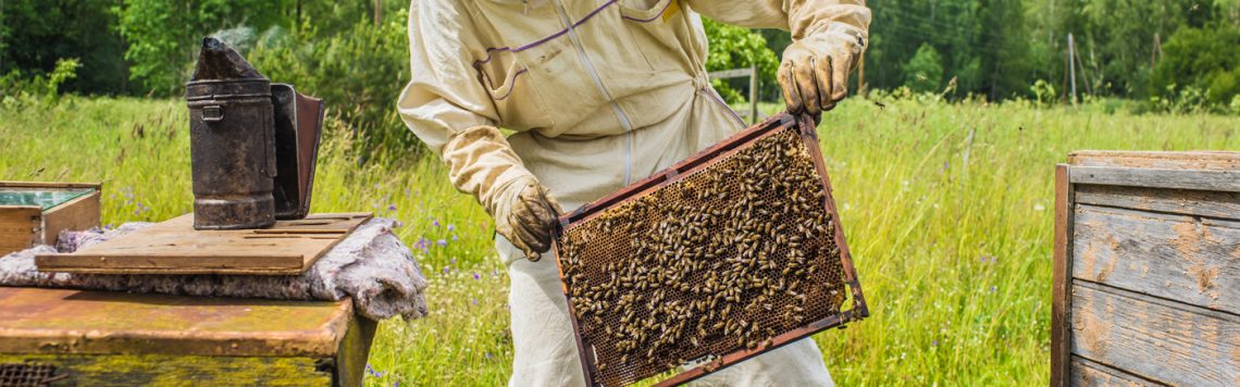 Beekeeping