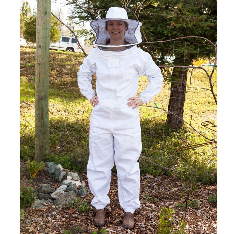 bee removal dallas