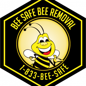 bee-safe-bee-removal-logo-contact Price of Bee Removal