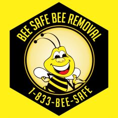 bee removal wasp removal