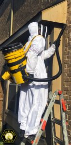 Beekeeper removing bees from Frisco home