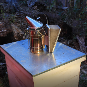 Bee Apiary Bee Apiary