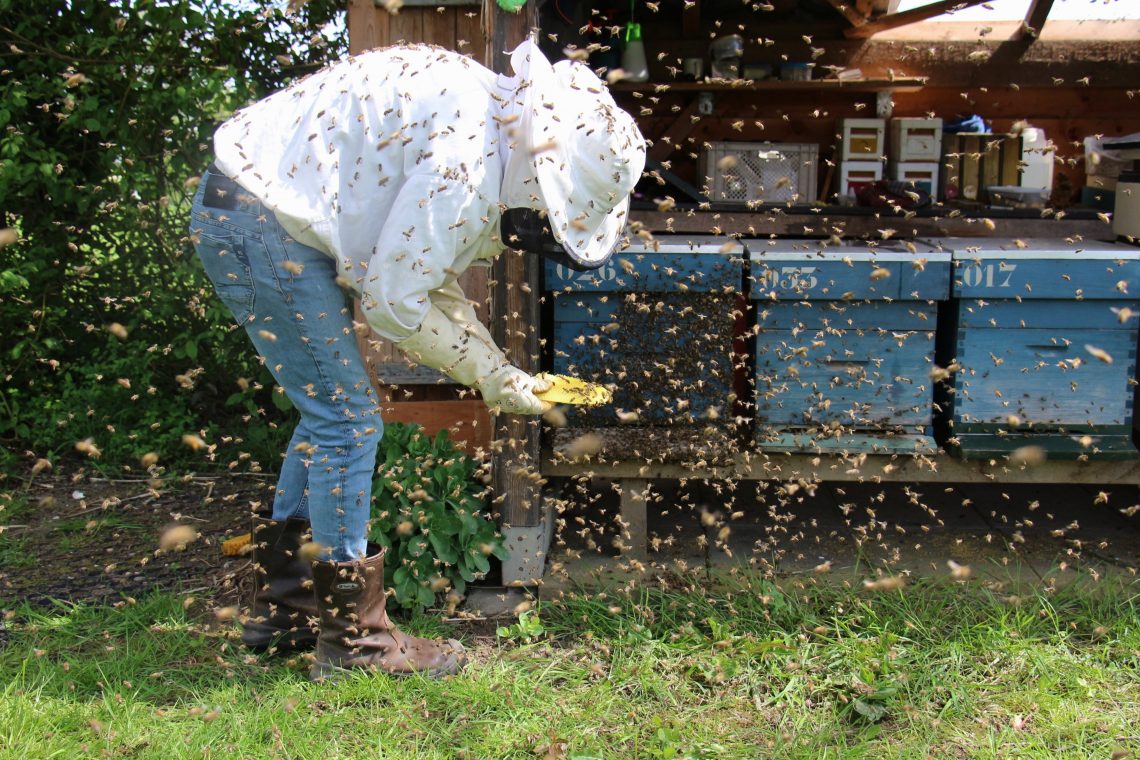 Preparing Bee Service