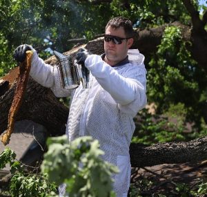 bee removal tool smoke