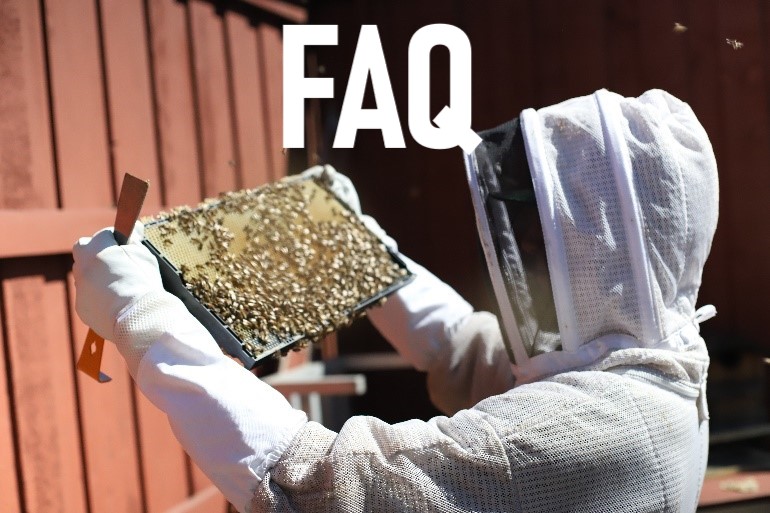 Bee Removal FAQ